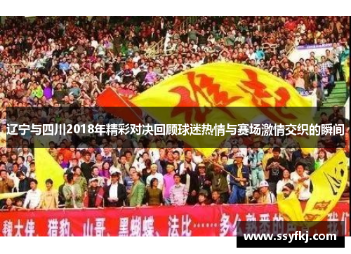 辽宁与四川2018年精彩对决回顾球迷热情与赛场激情交织的瞬间